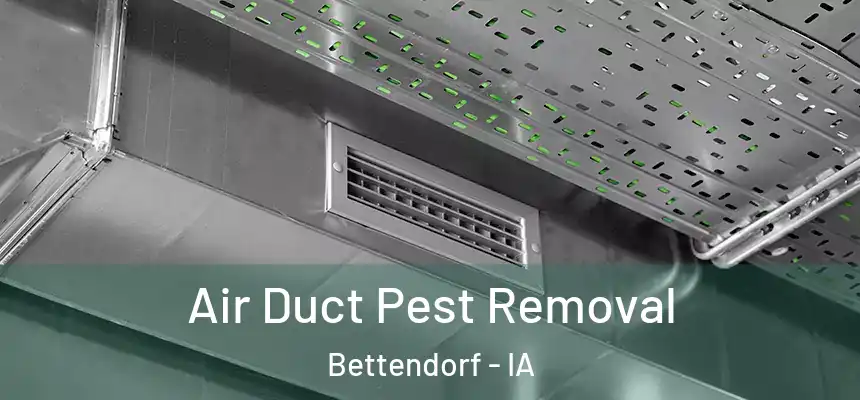 Air Duct Pest Removal Bettendorf - IA