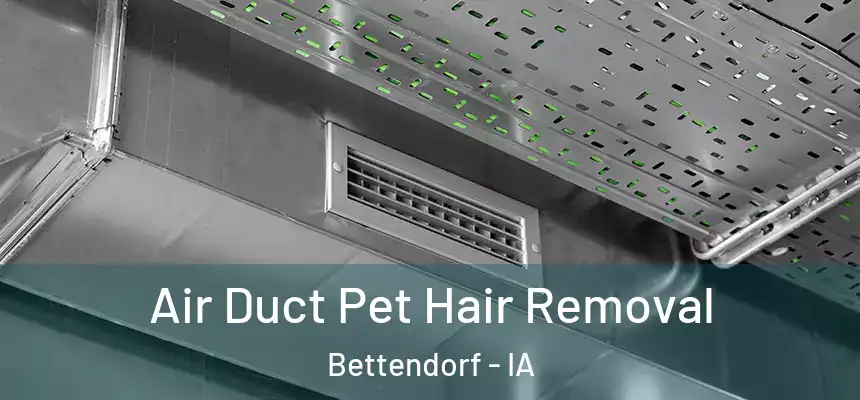 Air Duct Pet Hair Removal Bettendorf - IA