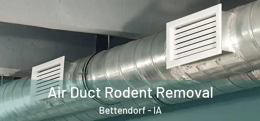Air Duct Rodent Removal Bettendorf - IA