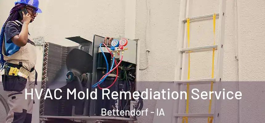 HVAC Mold Remediation Service Bettendorf - IA
