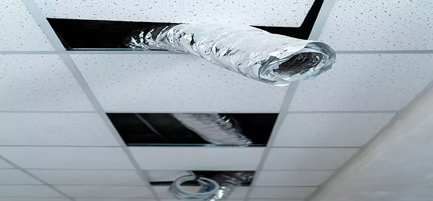 Our Air Duct Pet Hair Removal Services in Bettendorf, IA