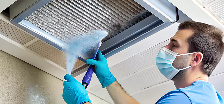 Proactive Dryer Vent & Auxiliary Duct Pollen Cleanup in Bettendorf, IA