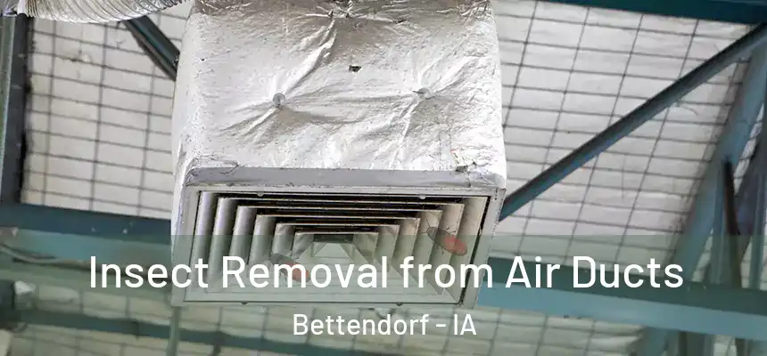 Insect Removal from Air Ducts Bettendorf - IA