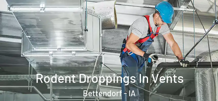 Rodent Droppings In Vents Bettendorf - IA