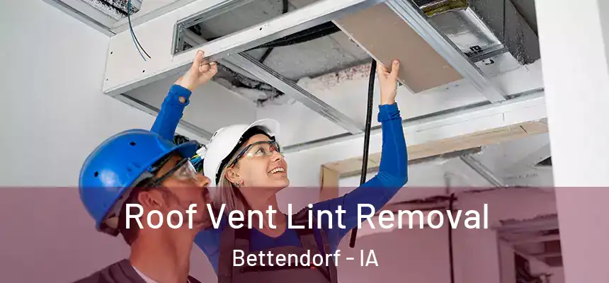 Roof Vent Lint Removal Bettendorf - IA