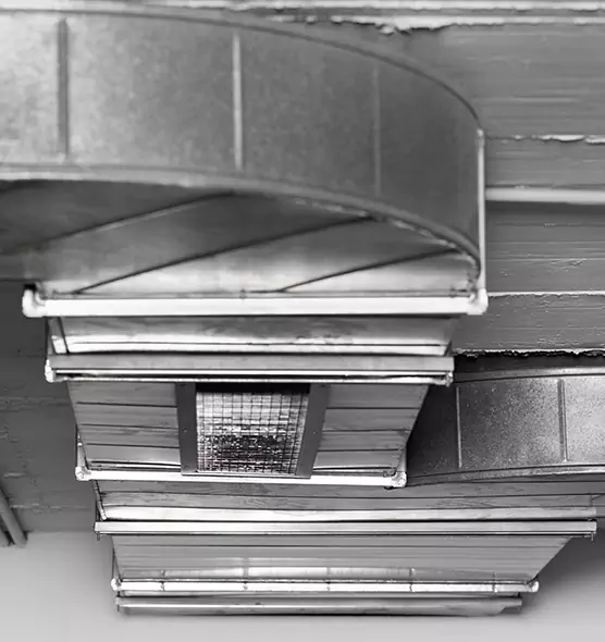 Professional Air Duct Pest Removal in Bettendorf, IA