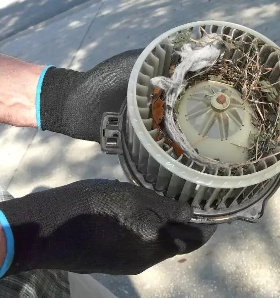 About Air Duct Rat Removal in Bettendorf, IA