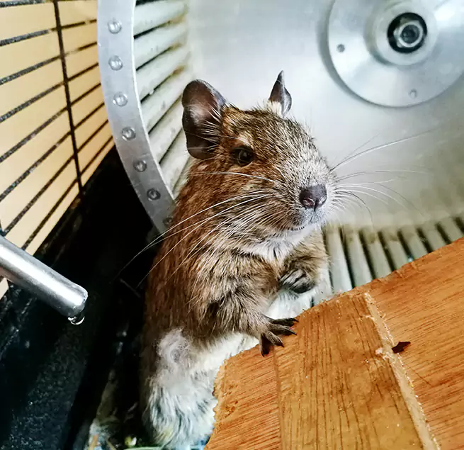 Why Homeowners & Businesses Trust Us Bettendorf, IA